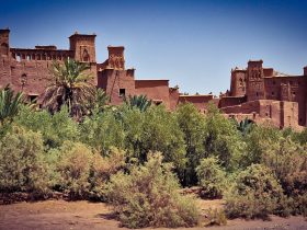 Las 5 mejores excursiones de un día desde Marrakech para tu próxima aventura